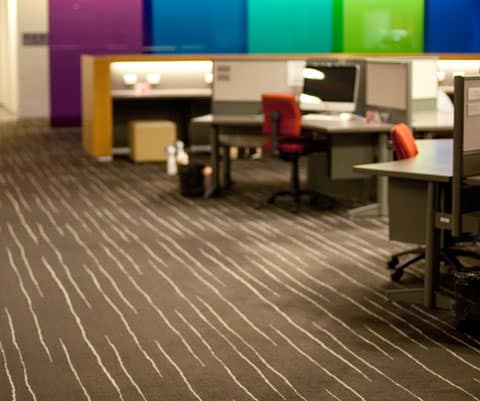 Commercial Carpet Cleaning Adelaide-5